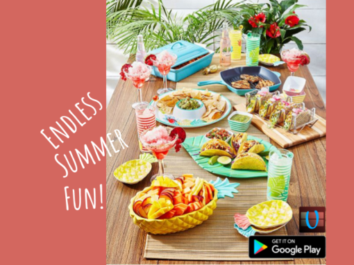 Endless Summer Fun